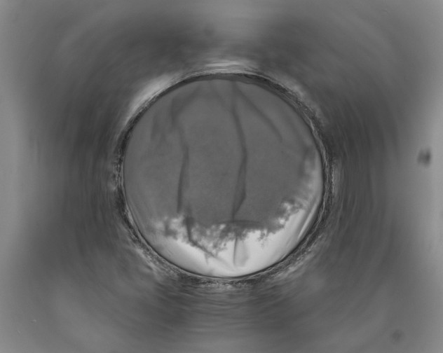 X0000089921405200707271726