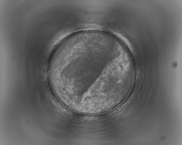 X0000089921407200707271726