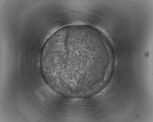 X0000089921409200707271726