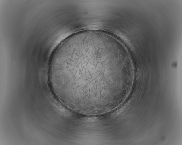 X0000089921410200707271726