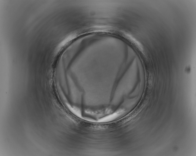 X0000089921411200707271726