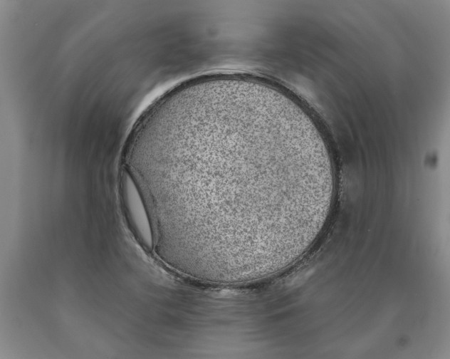 X0000089921412200707271726