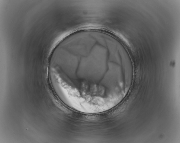 X0000089921413200707271726