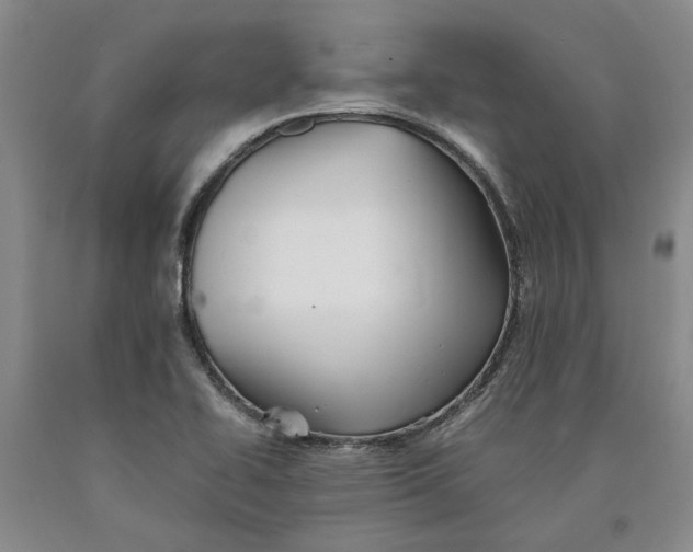 X0000089921414200707271726