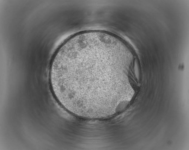 X0000089921416200707271726