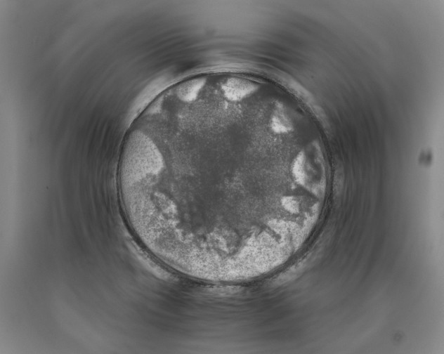 X0000089921417200707271726