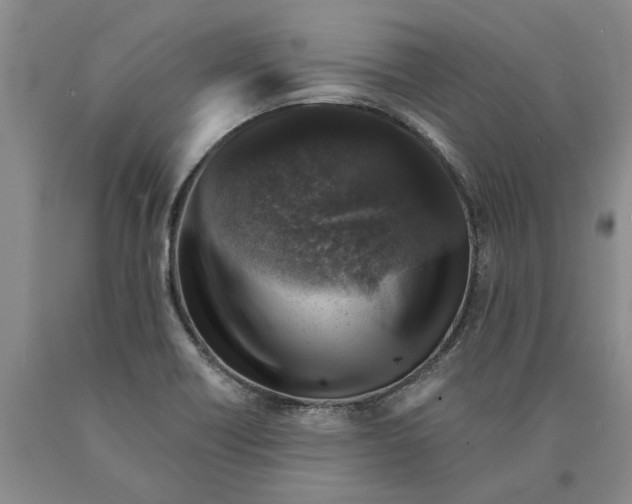 X0000089921418200707271726