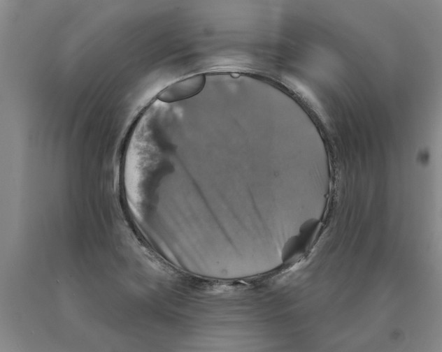 X0000089921419200707271726