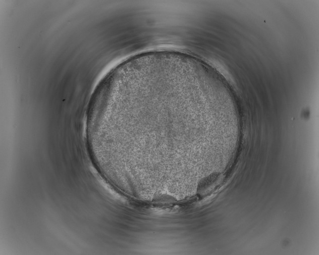 X0000089921420200707271726