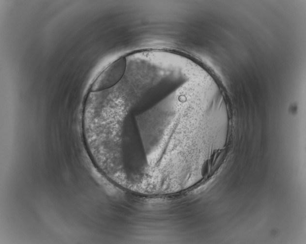 X0000089921421200707271726