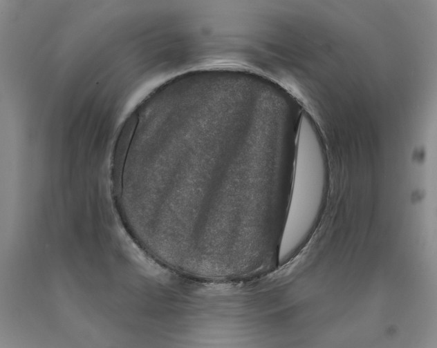 X0000089921422200707271726