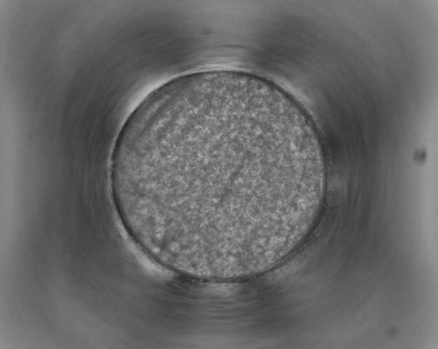 X0000089921423200707271726