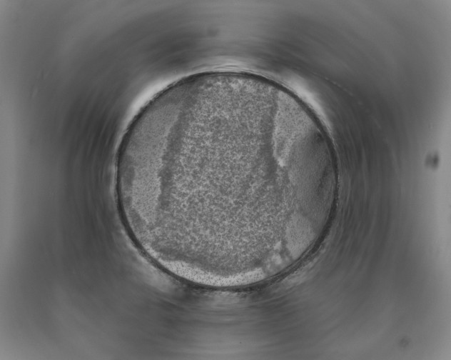 X0000089921424200707271726