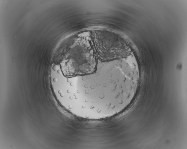 X0000089921425200707271727