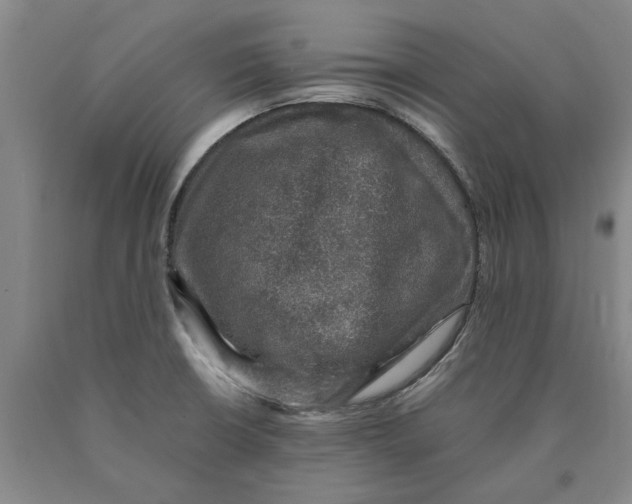 X0000089921426200707271727