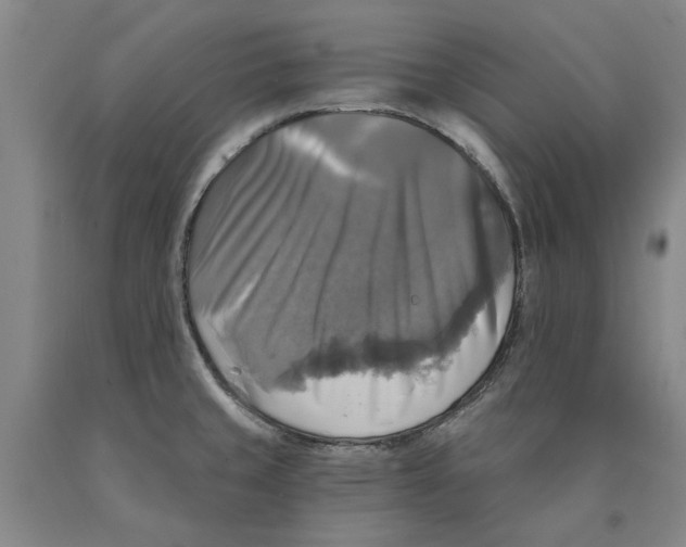 X0000089921429200707271727