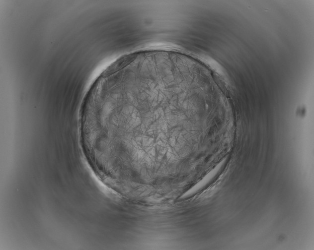 X0000089921430200707271727