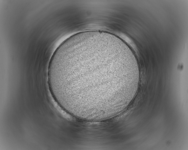 X0000089921431200707271727