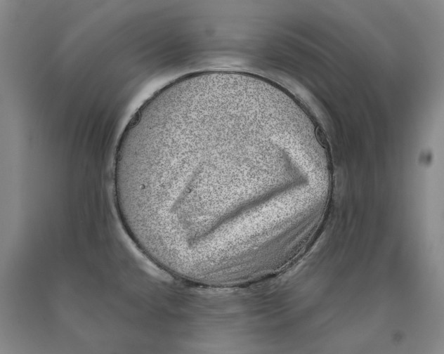 X0000089921432200707271727