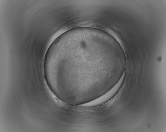X0000089921434200707271727