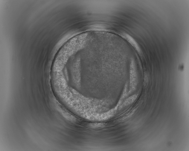 X0000089921435200707271727