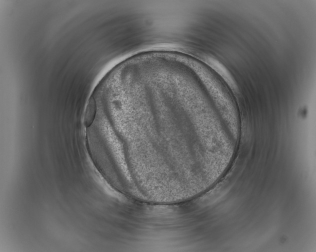 X0000089921436200707271727