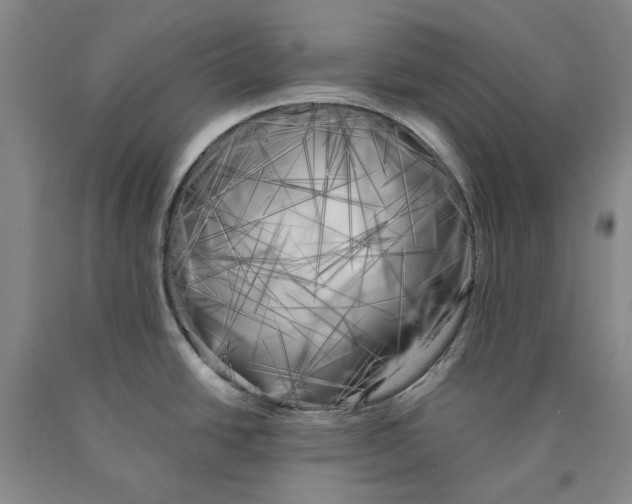 X0000089921438200707271727