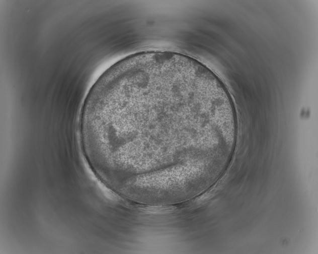 X0000089921440200707271727