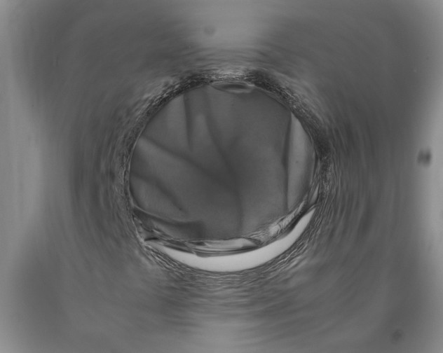 X0000089921441200707271726