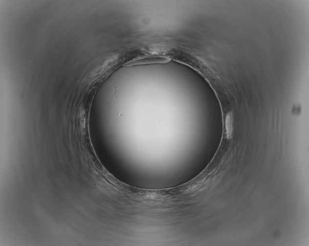 X0000089921443200707271726