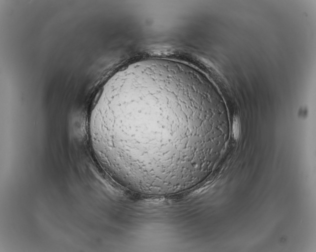 X0000089921444200707271726