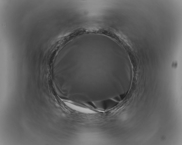 X0000089921445200707271726