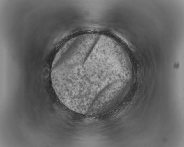 X0000089921447200707271726