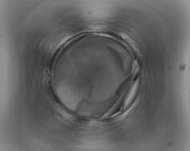 X0000089921449200707271726