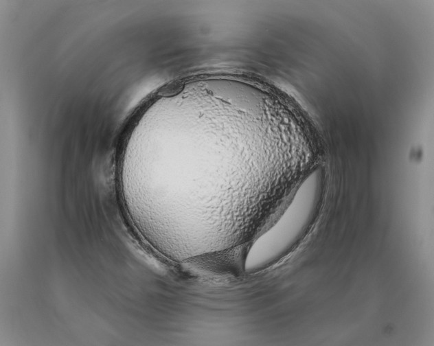 X0000089921450200707271726