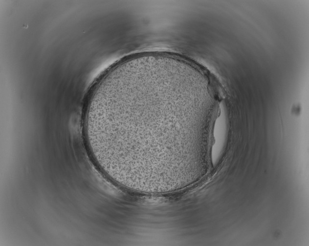 X0000089921452200707271726