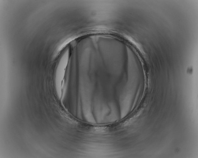 X0000089921453200707271726