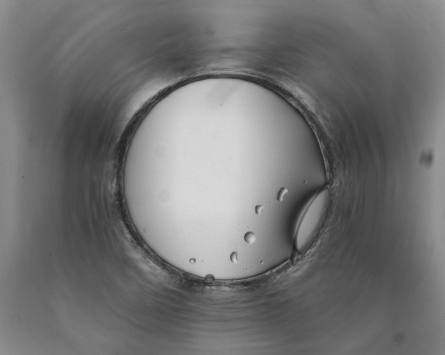 X0000089921458200707271726