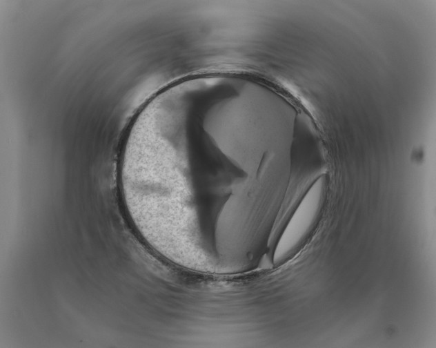 X0000089921459200707271726