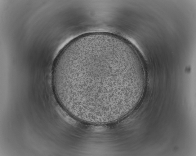 X0000089921460200707271726