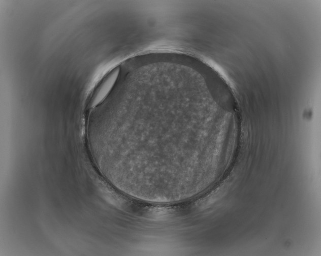 X0000089921461200707271726