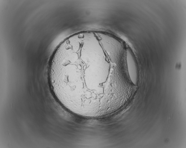 X0000089921463200707271726