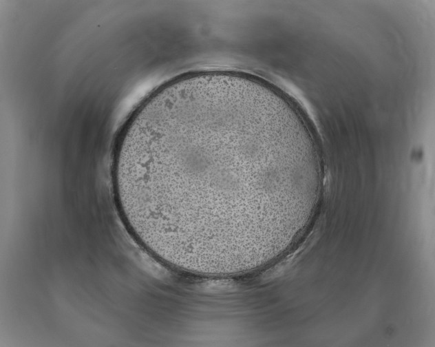 X0000089921464200707271726