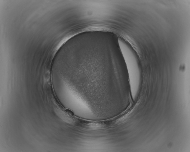 X0000089921465200707271726