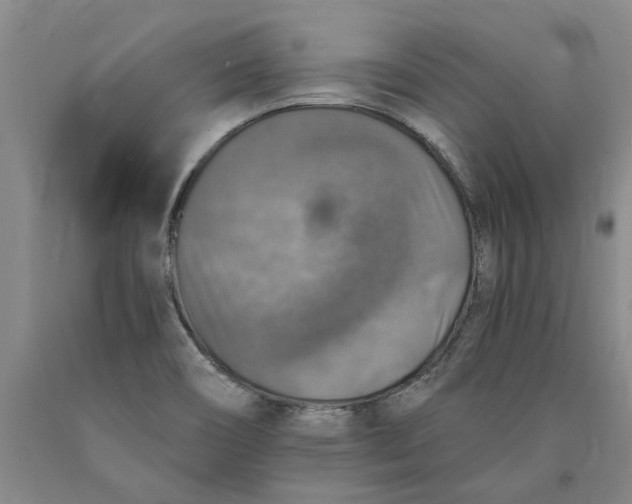 X0000089921466200707271726