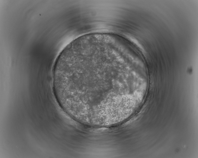 X0000089921467200707271726