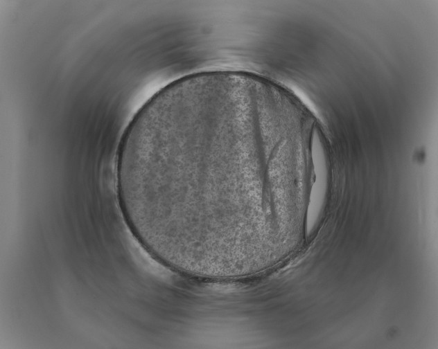 X0000089921468200707271726