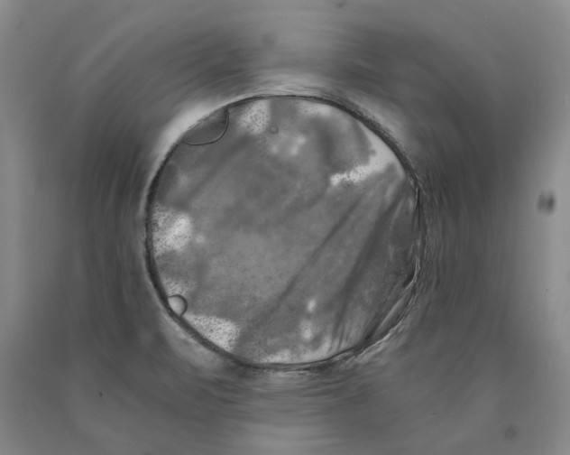 X0000089921471200707271725