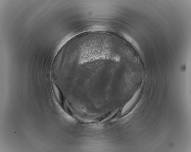 X0000089921473200707271725