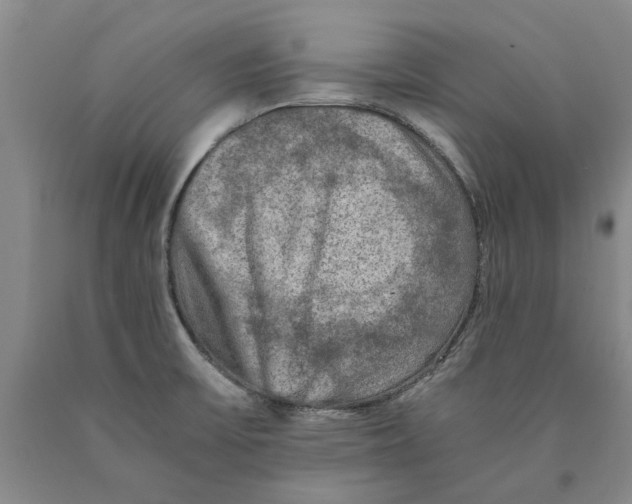 X0000089921475200707271725